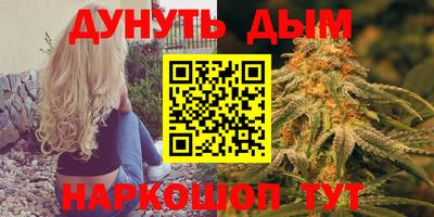 индика Абинск