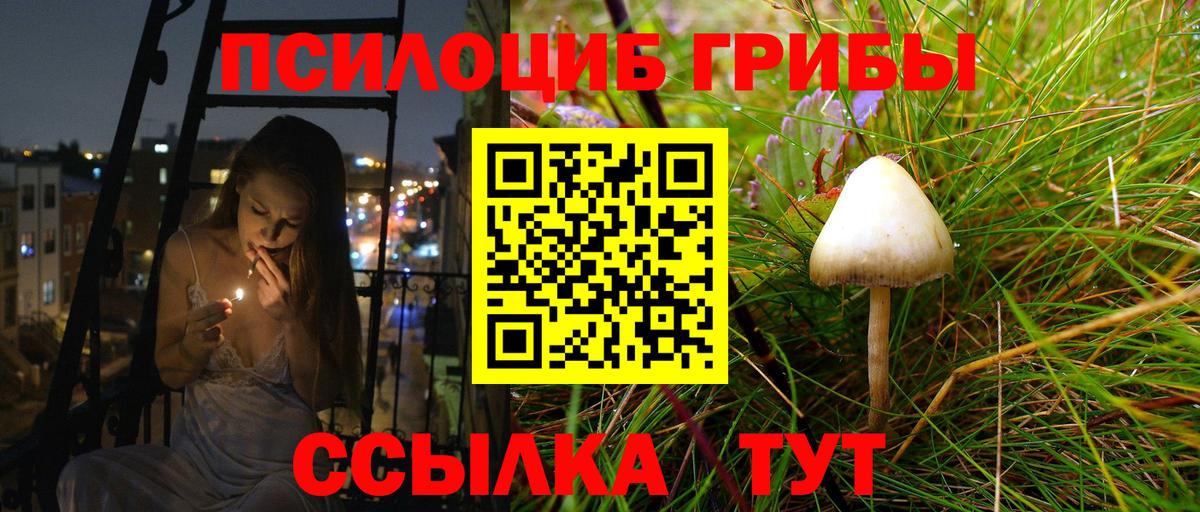 купить наркоту  Псилоцибиновые грибы мухоморы  Вход с VPN  Александров 